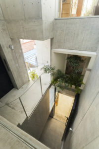 Tree-ness House / Akihisa Hirata