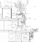 Tree-ness House / Akihisa Hirata