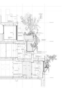 Tree-ness House / Akihisa Hirata