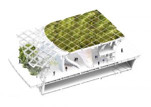 Green Carpet / Ahmet Can Karakdılar