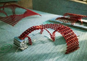 Green Carpet / Ahmet Can Karakdılar