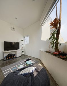 The Twins House / DELUTION