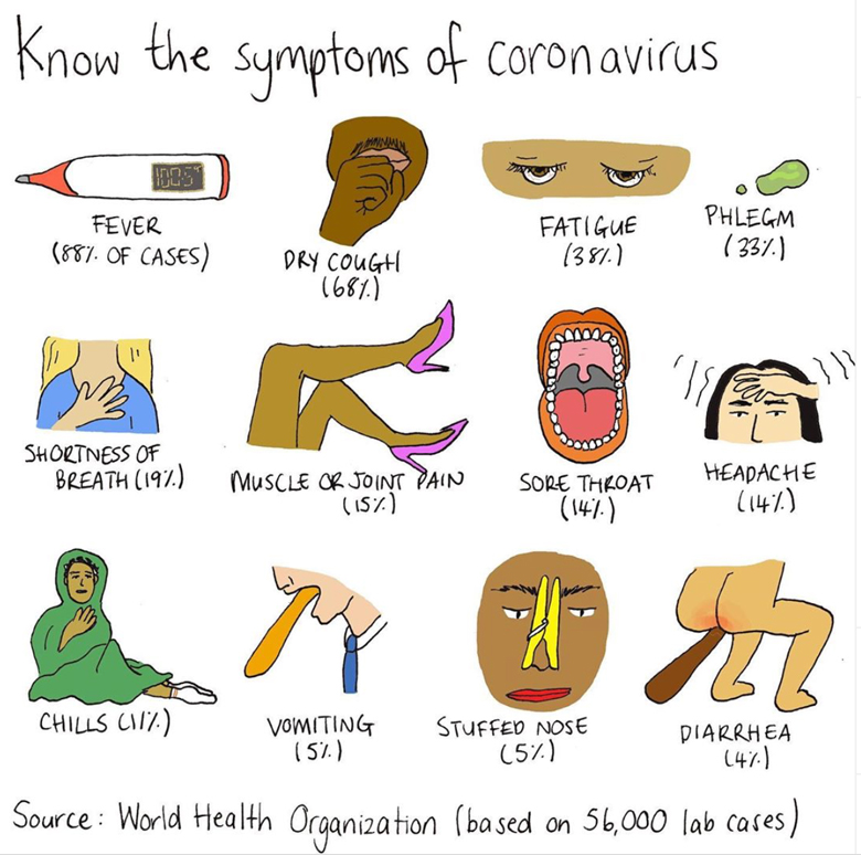 Mona Chalabi Koronavirüs İllüstrasyonu